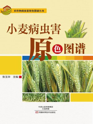 cover image of 小麦病虫害原色图谱